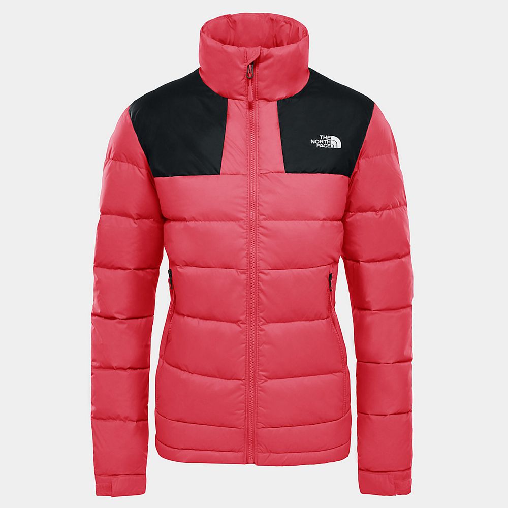 The North Face Insulated Jacket Womens Australia - The North Face Massif Rose (YPM-072193)